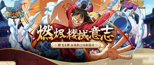 国风路飞技能爆料视频,传统元素与现代冒险的完美融合